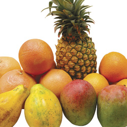 Fruits Set Tropical