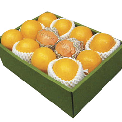 Oranges in a Gift Box