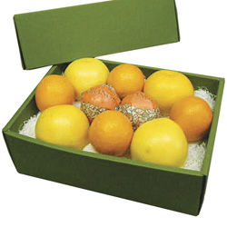化粧箱入柑橘2種　オレンジ・グレープフルーツ