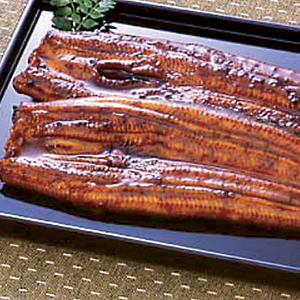 Japan Farmed Eel from Kagoshima