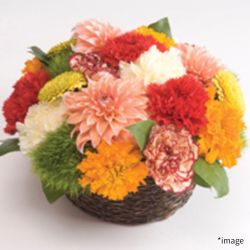 季節の花 アレンジメント 季節の花 アレンジメント