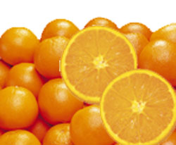 プレミアム大玉ネーブルオレンジ